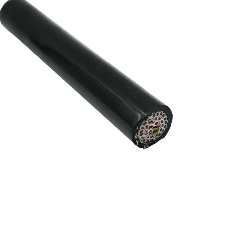 TPU Dual-Sheath Waterproof Crane Reeling Cable